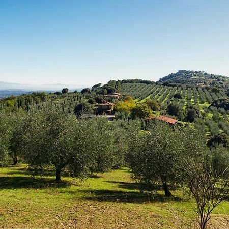 The Country House Montali Tavernelle  Exterior photo