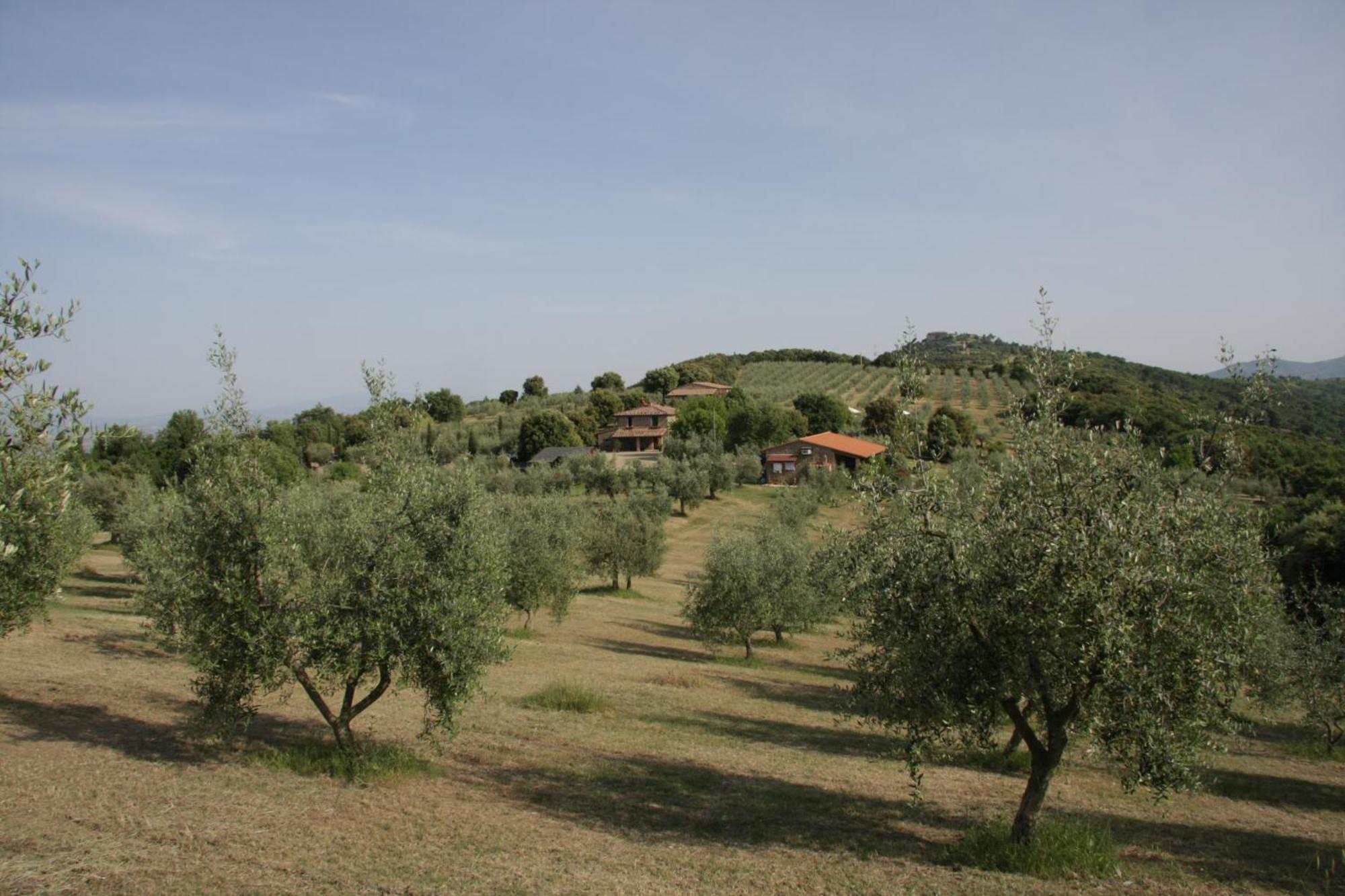 The Country House Montali Tavernelle  Exterior photo