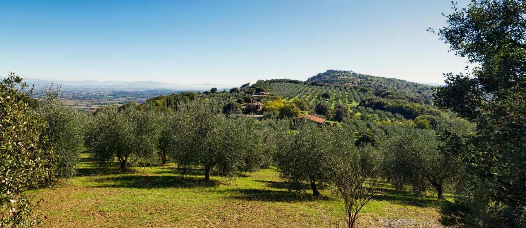 The Country House Montali Tavernelle  Exterior photo